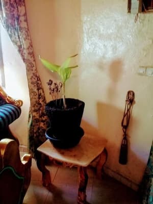 thumbnail: Interior detail