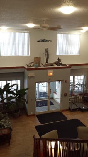 thumbnail: Interior