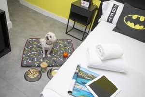 thumbnail: Room