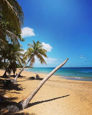 thumbnail: Beach