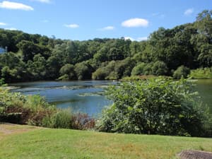 thumbnail: Property grounds