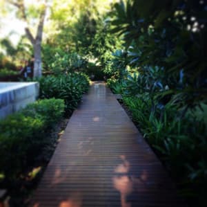 thumbnail: General view