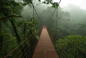 thumbnail: Hiking