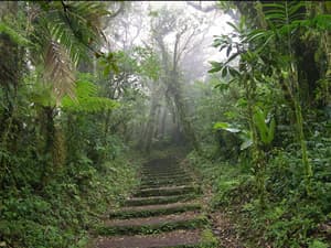 thumbnail: Hiking