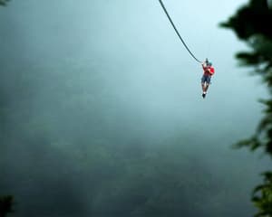 thumbnail: Ziplining