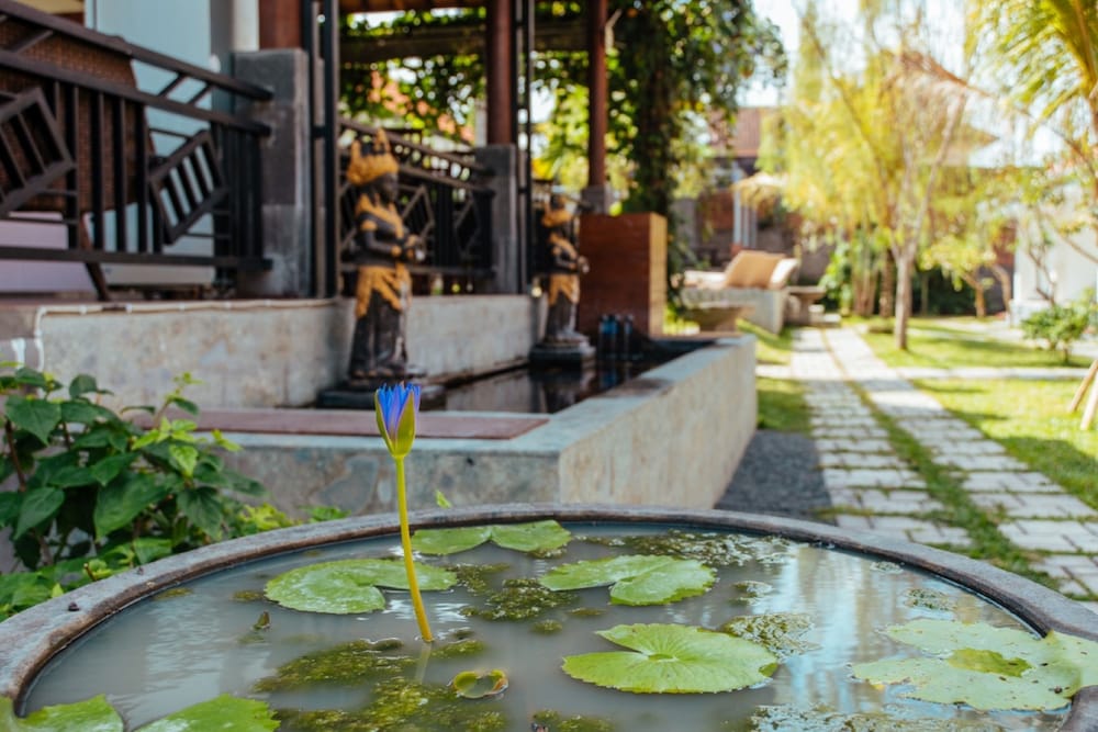 Courtyard view
