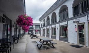 thumbnail: Courtyard