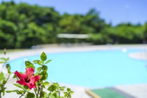 thumbnail: Outdoor pool