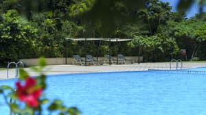 thumbnail: Outdoor pool