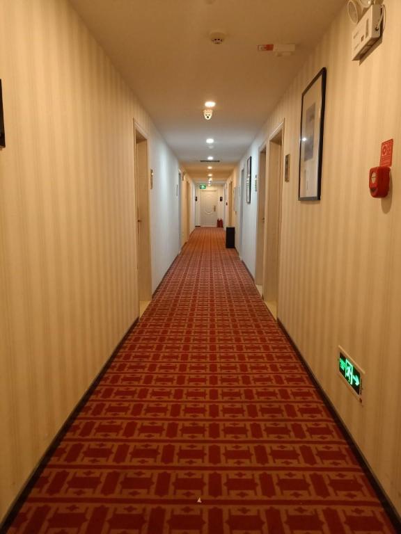 7032412_19042213560073890838.jpg