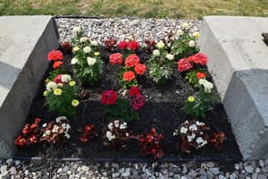 thumbnail: Garden