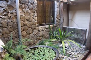 thumbnail: General view