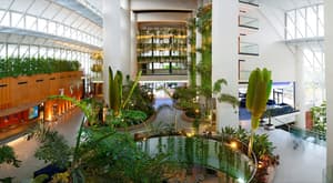 thumbnail: Reception