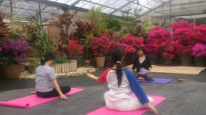 thumbnail: Yoga