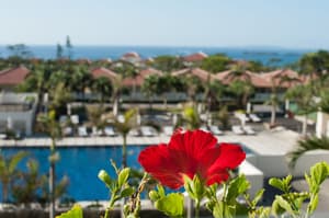 thumbnail: View from room
