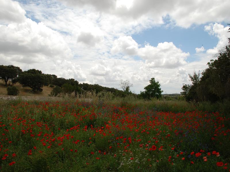 General view