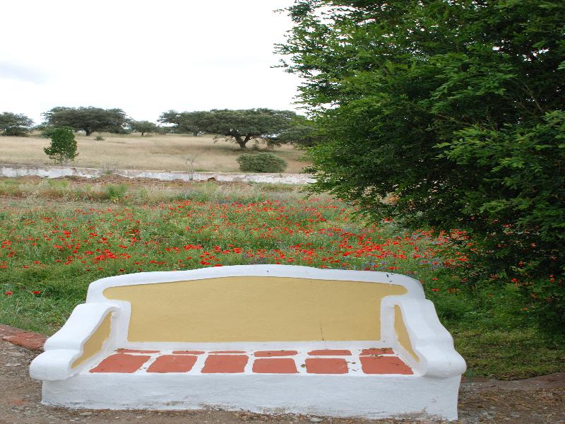 General view