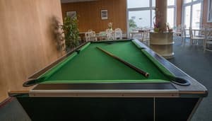 thumbnail: Billiards