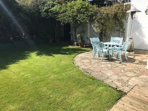 thumbnail: Garden view