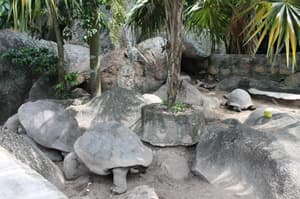 thumbnail: 29824518.jpg