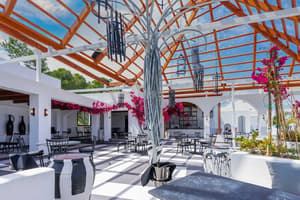 thumbnail: Outdoor dining