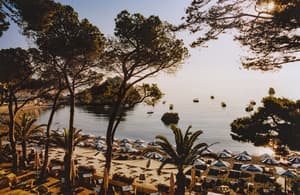 thumbnail: Beach