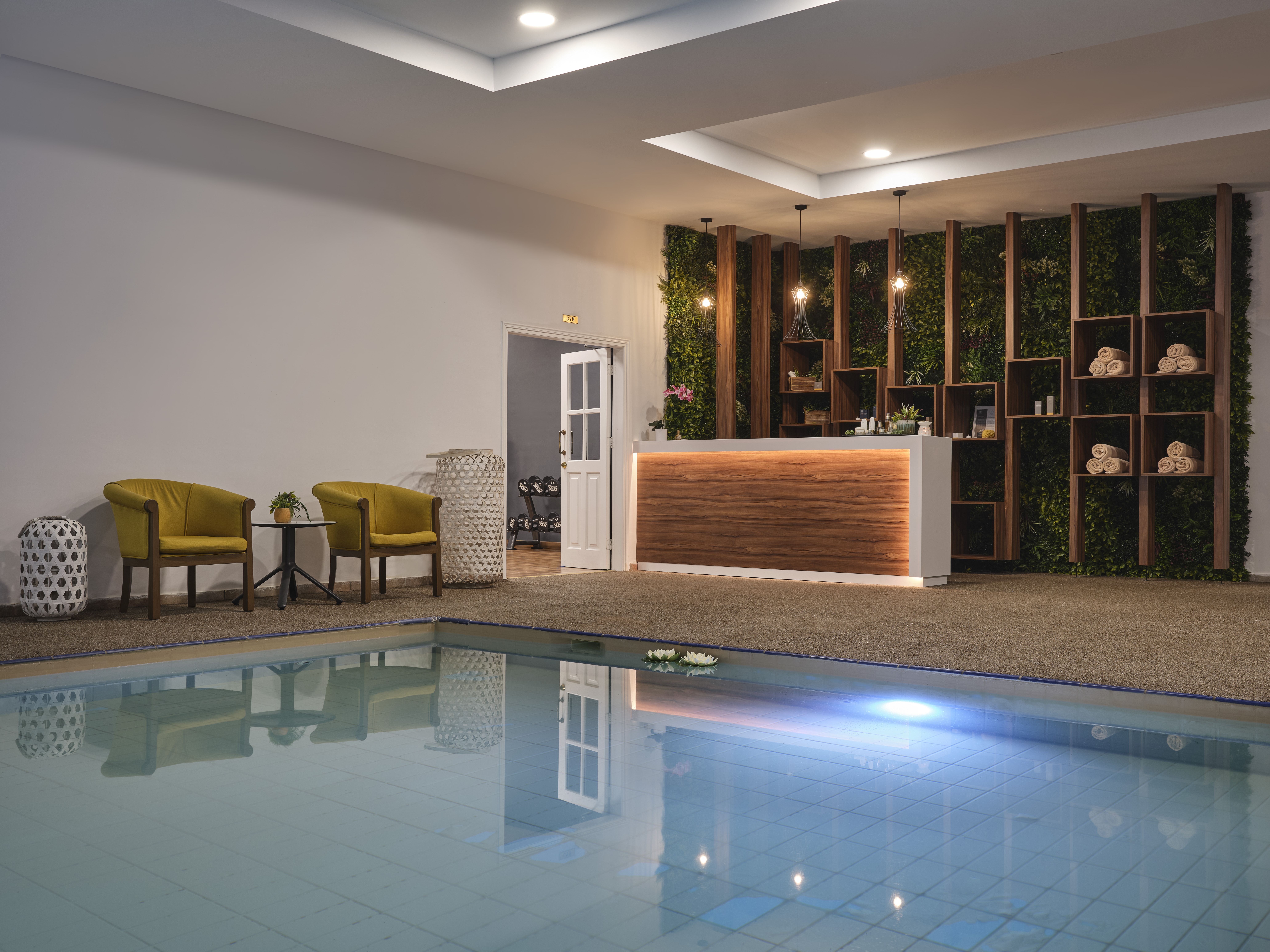 Swimming pool-spa