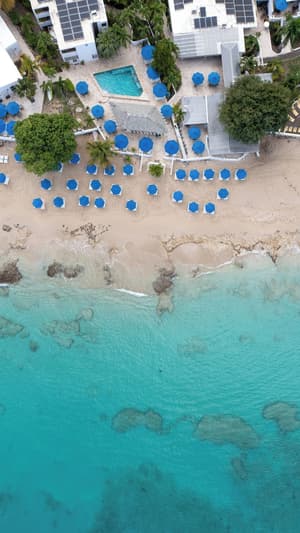 thumbnail: Aerial view