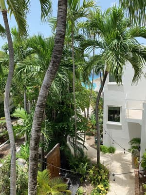 thumbnail: Garden view