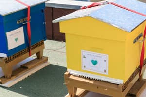 thumbnail: Exterior detail