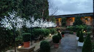 thumbnail: Garden