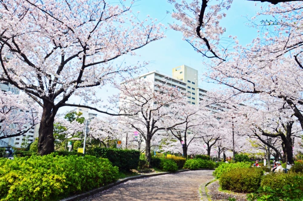 City view