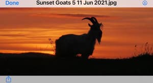 thumbnail: 363058884.jpg