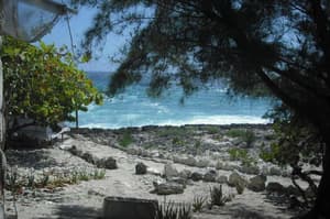 thumbnail: General view