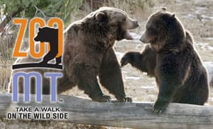 thumbnail: Point of interest