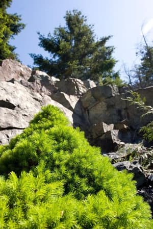 thumbnail: Property grounds