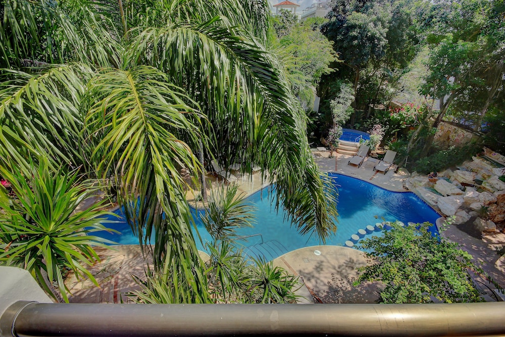 Garden view