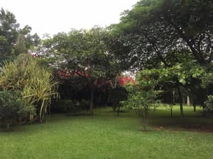 thumbnail: Property grounds