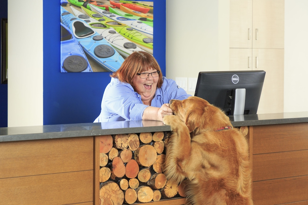 Pet-friendly