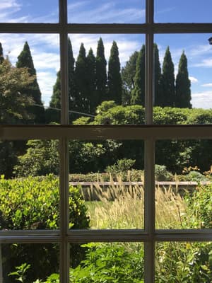 thumbnail: Garden view