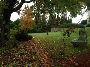 thumbnail: Property grounds