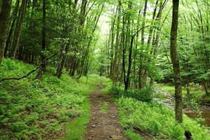 thumbnail: Hiking