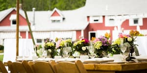 thumbnail: Outdoor wedding area