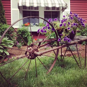 thumbnail: Garden