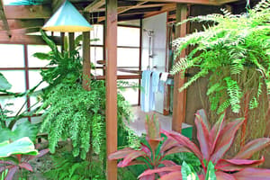 Rarotonga thumbnail