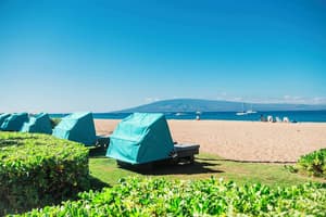 thumbnail: Beach