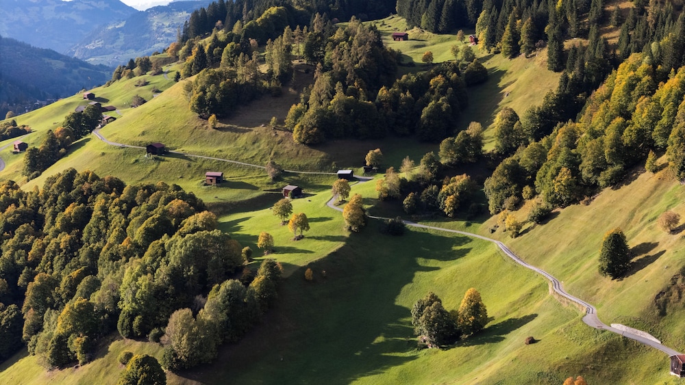 Land view from property