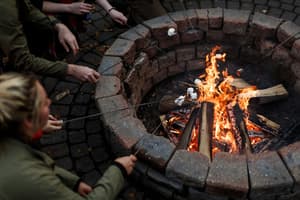 thumbnail: Fireplace