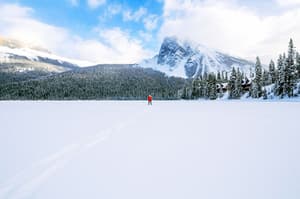 thumbnail: Snowshoeing