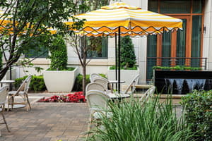 thumbnail: Bar (on property)